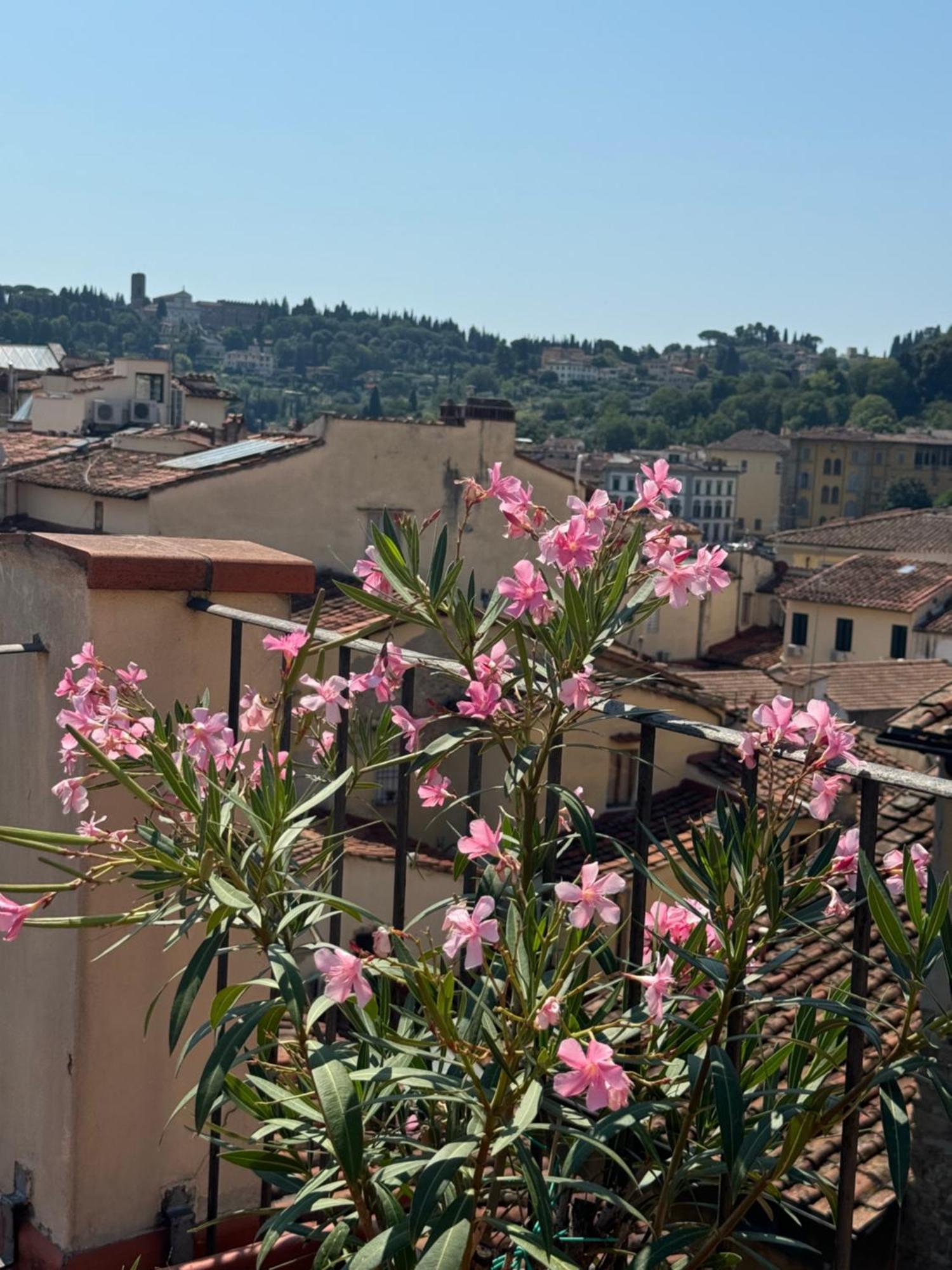 Firenze Panorama Suite & Terrace 외부 사진